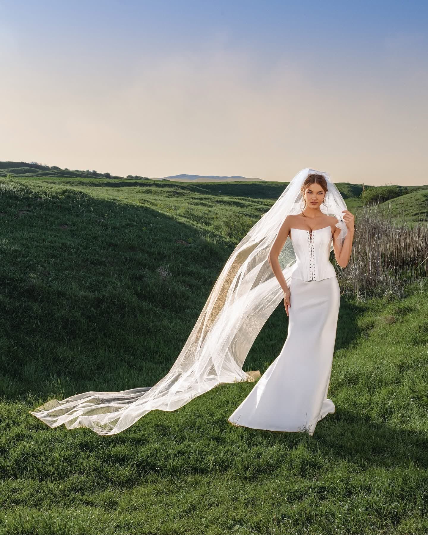 Bride in the Corset Lacé Gown with a long veil, full length, on a hillside